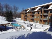 Shanty Creek Resorts - Cedar River Village Bellaire エクステリア 写真